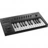25 клавиш NATIVE INSTRUMENTS KOMPLETE KONTROL A25 41662